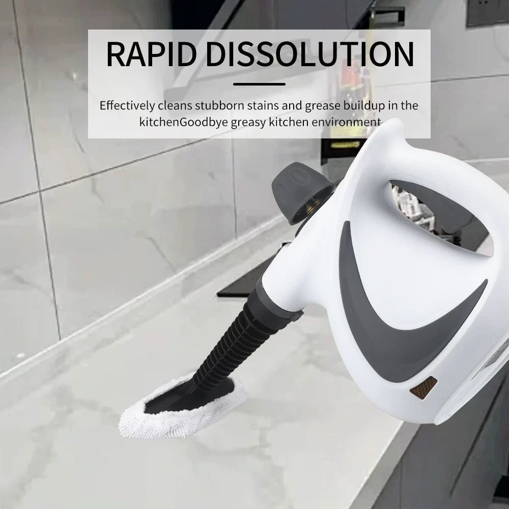 Steam Disinfection Cleaner