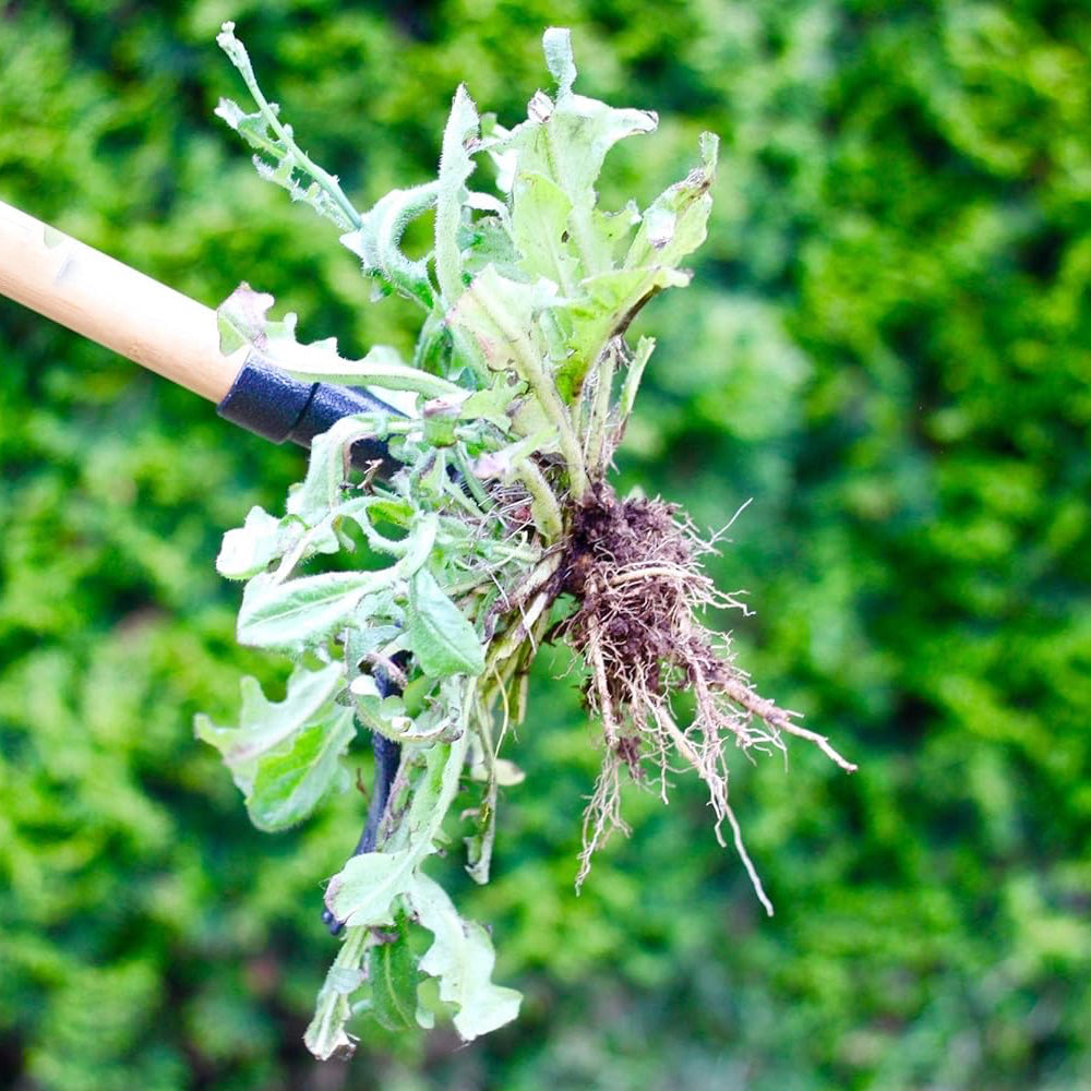 Weeder Tool
